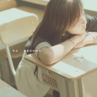 图库下载安装手机图库软件